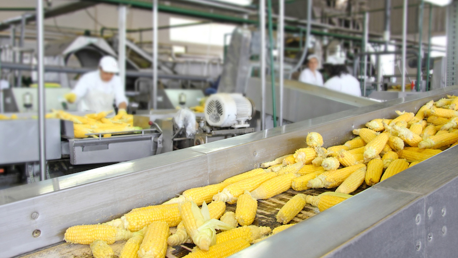 In Summary: 10 Steps to ensure food safety